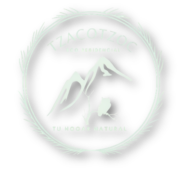 Inmuebles en Chiapas – Eco Residencial Tzacotzoc